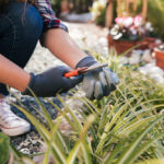 Onderhoudsvriendelijke tuin