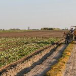 tractor op het land