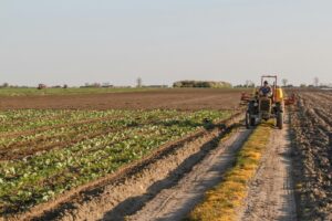 tractor op het land